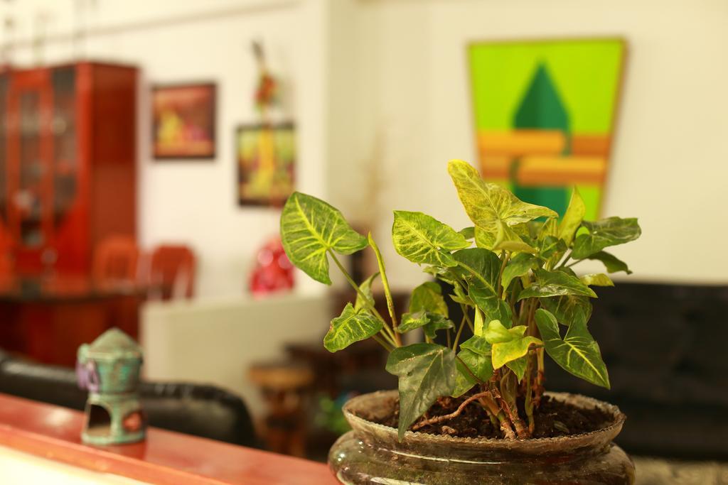 Albergue Tip Top Hostel *